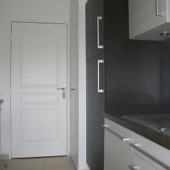 Castorama Bloc-porte Isolant 3 Panneaux H.204 X L.73 Cm, Poussant Droit