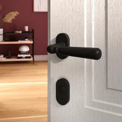 Castorama Ensemble Poignée Sur Rosace à Visser GoodHome Kilhog Noir Ø63mm