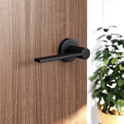 Castorama Ensemble Poignée Sur Rosace Droit à Visser GoodHome Dotz Mat Noir Ø52mm