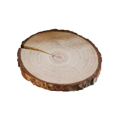 Castorama Rondelle De Chataignier D.5/6 Cm ép. 10 Mm (filet De 10 Pc)