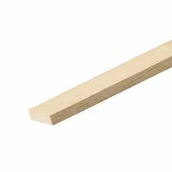 Castorama Tasseau Raboté Ayous 37 X 23 Mm L.2 M